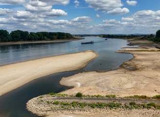 Folgen der Trockenheit: Flusspegel sinken weiter - Rheinpegel in Koblenz einstellig