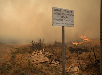 Griechenland: Mehr als 280 Menschen seit Jahresbeginn wegen Brandstiftung festgenommen