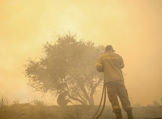 Waldbrand in Griechenland: Mehr als 250 Urlauber mit Booten von Stränden evakuiert
