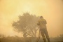 Waldbrand in Griechenland: Mehr als 250 Urlauber mit Booten von Stränden evakuiert