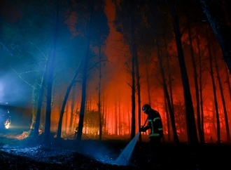 Waldbrand im Südwesten Frankreichs erfasst 1100 Hektar Land