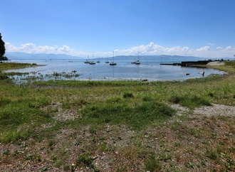 Unfall mit Verletzten auf Bodensee: Schiff prallt gegen Hafenmauer in Konstanz