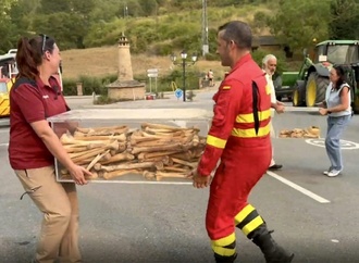 Spanien: Gebeine der ersten Könige von Aragón vor Waldbrand gerettet