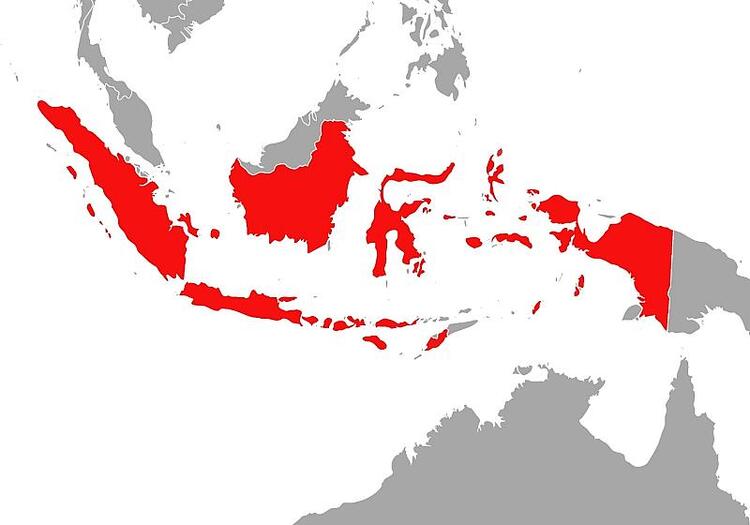 Schweres Erdbeben erschüttert Indonesien: Mindestens 14 Tote