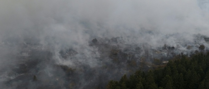 Lage bei Waldbränden in Nordrhein-Westfalen entspannt sich