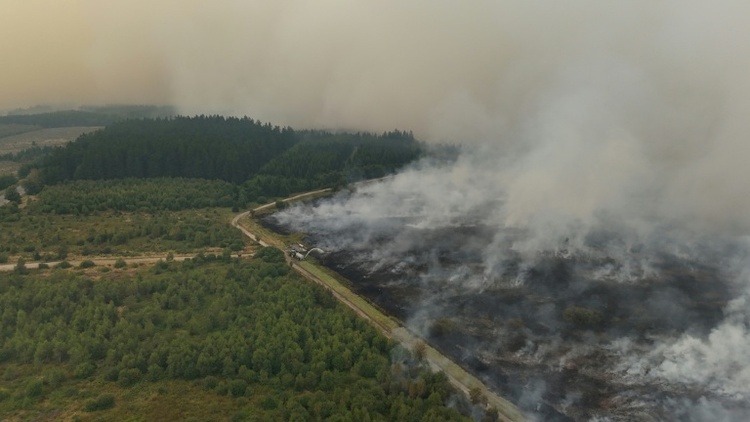 Waldbrand kommt näher - Bürger in Teilen Monschaus sollen bis 10 Uhr Häuser verlassen