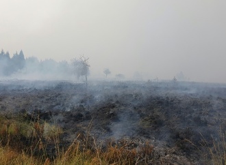 Waldbrand in Belgien nahe Deutschland hat 3000 Hektar Land zerstört