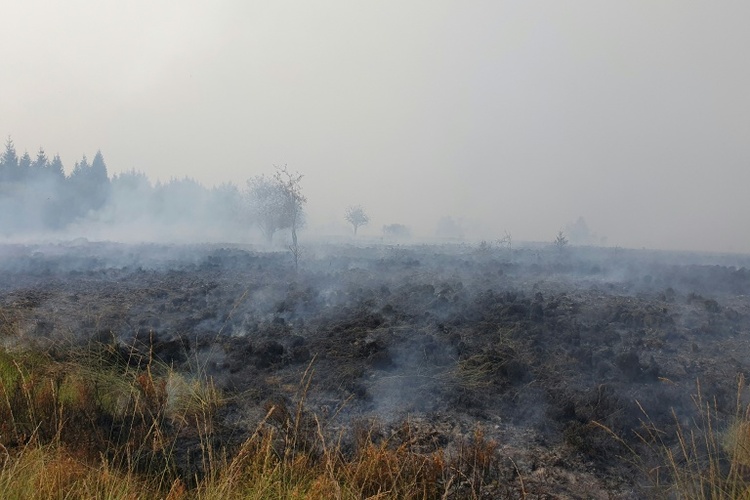 Waldbrand in Belgien nahe Deutschland hat 3000 Hektar Land zerstört