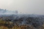 Waldbrand in Belgien nahe Deutschland hat 3000 Hektar Land zerstört