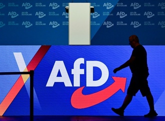 AfD sieht keinen Zusammenhang zwischen Waldbränden und Klimawandel