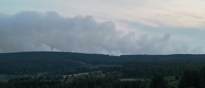 Brand im Hohen Venn: Evakierung von Teilen von Monschau angeordnet