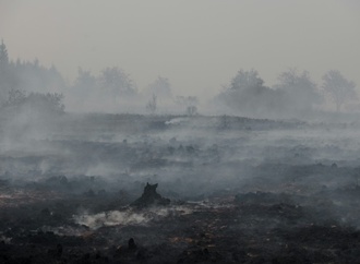 Brand in Belgien: Feuer breitet sich nicht mehr in Richtung Deutschland aus