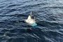 Führerlose Jacht im Atlantik: Rettungskräfte suchen Insassen