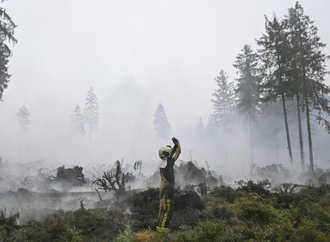 Waldbrand im belgischen Hohen Venn eingegrenzt - Lage bleibt aber ''kompliziert''