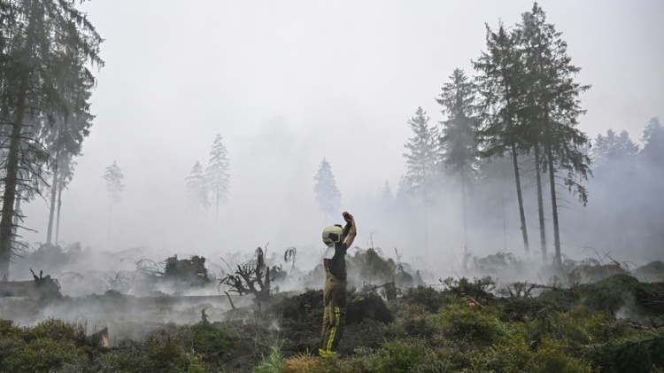 Waldbrand in Ostbelgien laut Behörden 