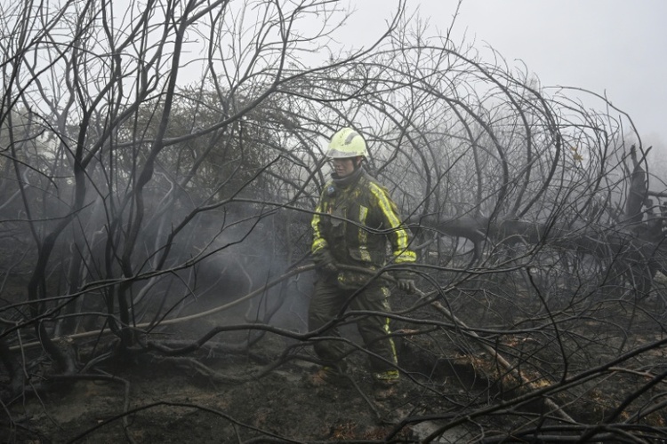 Waldbrand im belgischen Hohen Venn eingegrenzt - Lage bleibt aber 