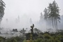 Waldbrand in Ostbelgien laut Behörden ''eingekreist'' - Lage bleibt ''kompliziert''