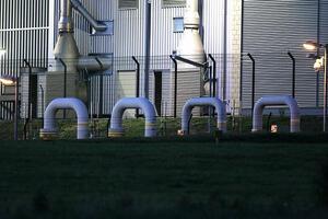 Linke warnt vor Risiken für Gasversorgung im Winter