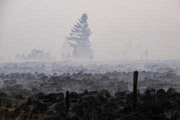 Waldbrand im Hohen Venn: Deutsche Feuerwehrleute ziehen ab