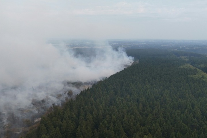 Studie: Waldbrand-Zerstörungen in Europa könnten sich durch Klimawandel verdreifachen
