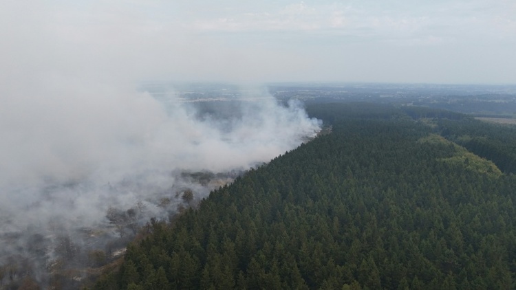 Studie: Waldbrand-Zerstörungen in Europa könnten sich durch Klimawandel verdreifachen