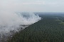 Studie: Waldbrand-Zerstörungen in Europa könnten sich durch Klimawandel verdreifachen