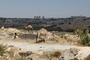 Israel weist Kritik aus Großbritannien an Siedlungsprojekt E1 zurück