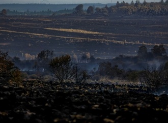 Waldbrand in Belgien laut Behörden ''vollumfänglich unter Kontrolle''