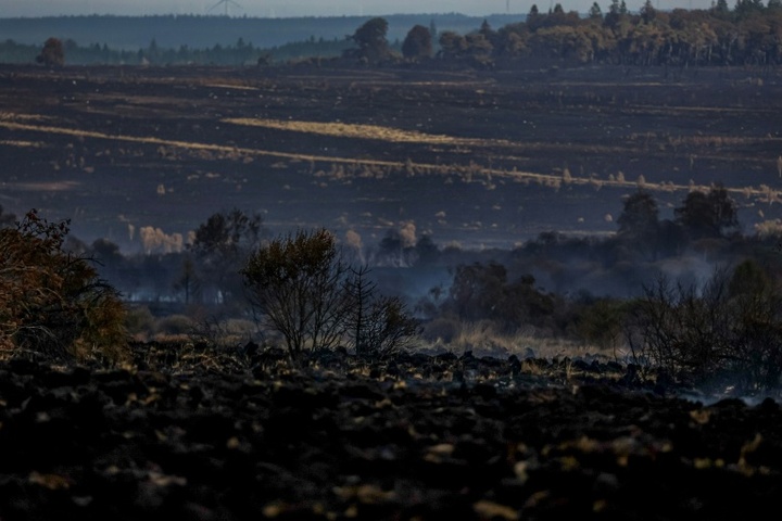 Waldbrand in Belgien ''vollumfänglich unter Kontrolle'' - deutsche Feuerwehr zieht ab