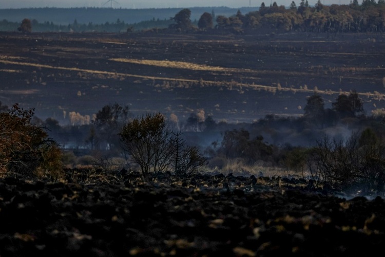 Waldbrand in Belgien laut Behörden 