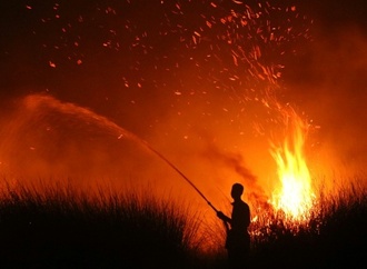 Indonesien: Waldbrände zerstörten 2026 schon 200.000 Hektar - Das Schlimmste kommt noch