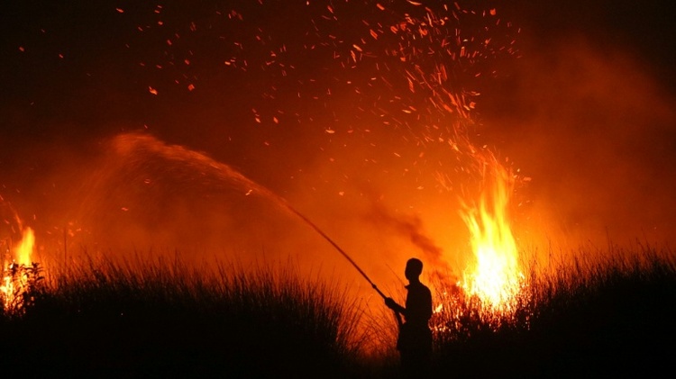 Indonesien: Waldbrände zerstörten 2026 schon 200.000 Hektar - Das Schlimmste kommt noch