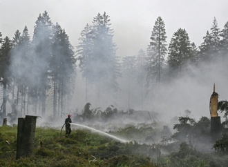 Brand im Hohen Venn: Behörden warnen vor Betreten des Gebiets