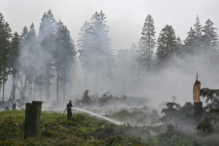 Brand im Hohen Venn: Behörden warnen vor Betreten des Gebiets
