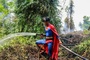 Superman gegen die Flammen: Verkleideter Jugendlicher in Indonesien bekämpft Waldbrände