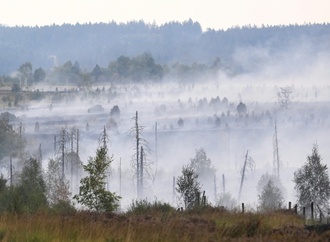 EU-Krisenkommissarin besucht Waldbrandgebiete in Deutschland und Belgien