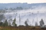 EU-Krisenkommissarin besucht Waldbrandgebiete in Deutschland und Belgien