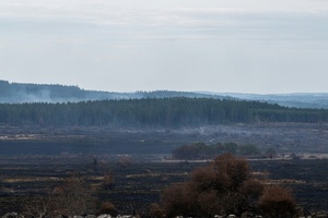Brand im Hohen Venn: Staatsanwaltschaft vermutet ''landwirtschaftliches Gerät'' als Ursache