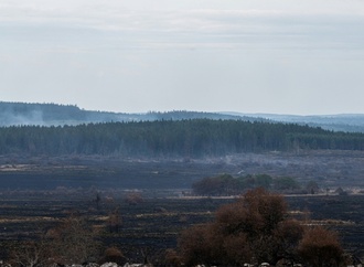 Brand im Hohen Venn: Staatsanwaltschaft vermutet ''landwirtschaftliches Gerät'' als Ursache