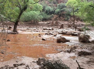 Rund 15 Vermisste nach Sturzflut im Grand Canyon