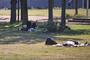 Sommer 2026 einer der wärmsten seit Aufzeichnungsbeginn