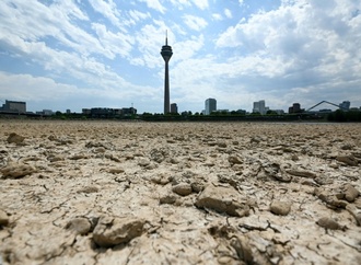 Voraussichtlich zweitwärmster Sommer seit Aufzeichnungsbeginn in Deutschland