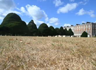 Großbritannien und Belgien erleben heißesten Sommer seit Beginn der Aufzeichnungen