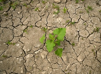 Wasserdefizit in Deutschland: Erholung durch mehr Herbstregen fraglich