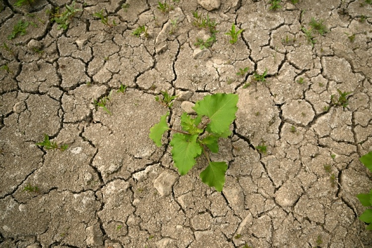 Wasserdefizit in Deutschland: Erholung durch mehr Herbstregen fraglich