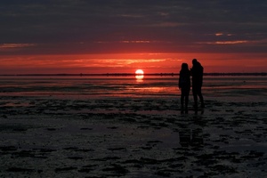 Bundesamt: Nord- und Ostsee in diesem Sommer ''deutlich'' zu warm