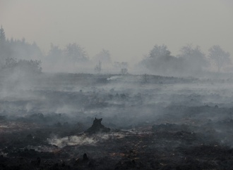 WMO: Hitzewellen und Waldbrände verschlechtern die Luftqualität
