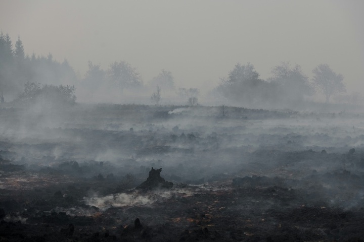 WMO: Hitzewellen und Waldbrände verschlechtern die Luftqualität