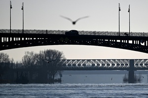 Feuerwehr rettet Möwe von Rheinbrücke: Einsatz mit Drehleiter und spontanem Applaus