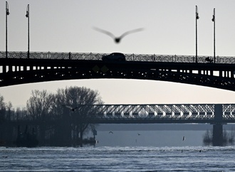 Feuerwehr rettet Möwe von Rheinbrücke: Einsatz mit Drehleiter und spontanem Applaus